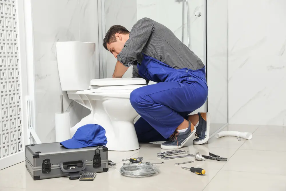Toilet Repair in Relampago